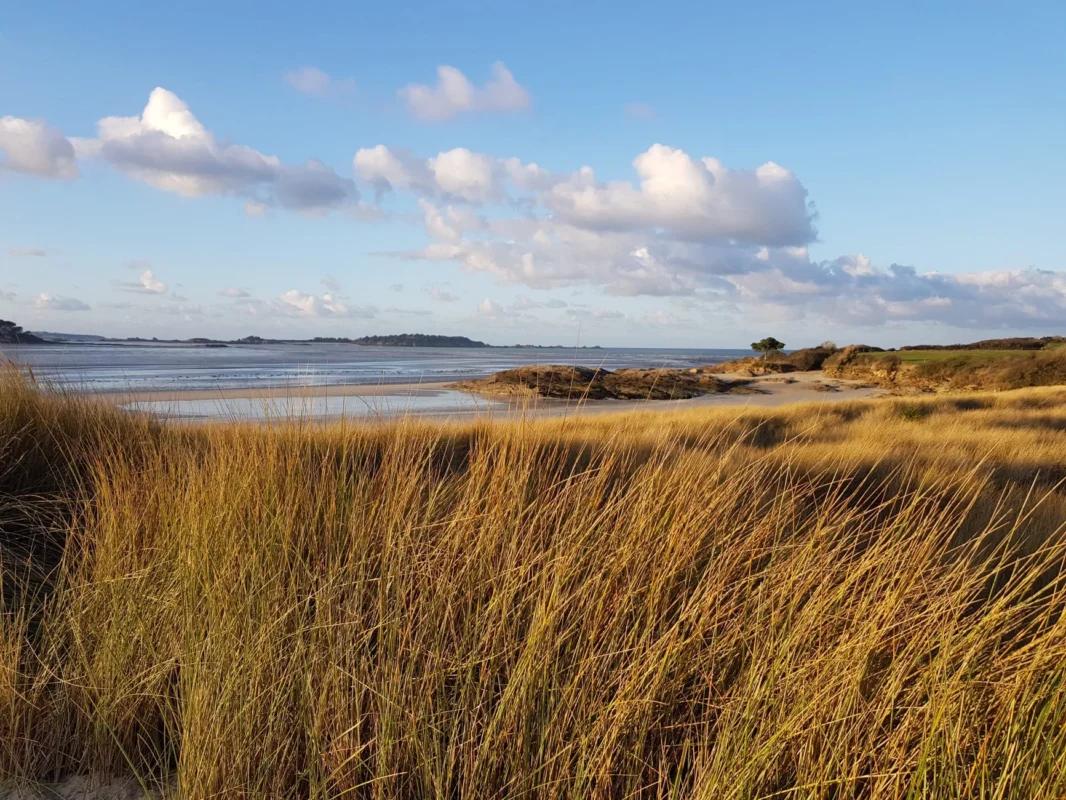 La Plage Des Briantais à Lancieux, au coeur de l'espace naturel du Tertre Corlieu. Un lieu idéal pour admirer la faune et la flore de Bretagne.