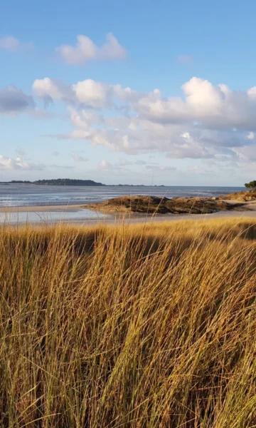 La Plage Des Briantais à Lancieux, au coeur de l'espace naturel du Tertre Corlieu. Un lieu idéal pour admirer la faune et la flore de Bretagne.