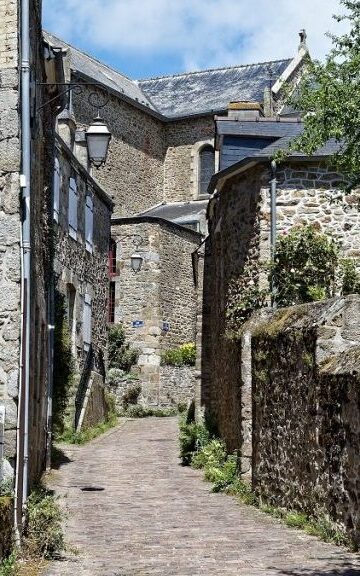 Venelles de Saint-Briac par Franck Hamel