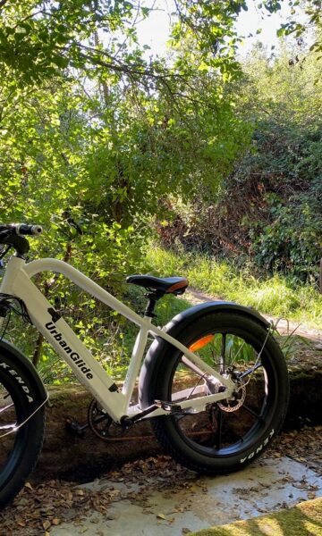 Alive Location De Vélo à Saint Briac Sur Mer. Louez votre vélo classique ou électrique sur la Côte d'Émeraude pour explorer les chemins de campagne, les voies vertes et les parcours en bord de mer.