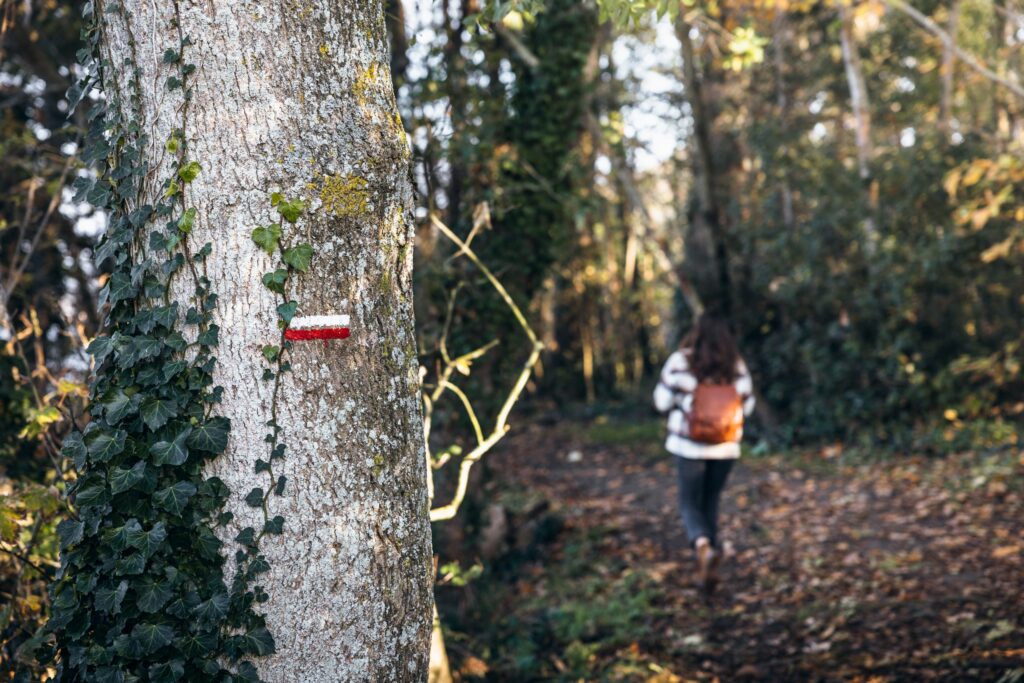 Une jeune fille suit le sentier boisé du GR34 le long des bords de Rance à Pleurtuit. Le chemin, entouré d'arbres nus et de sous-bois d'hiver, serpente à travers la nature paisible. La lumière douce filtre à travers les branches, créant une ambiance calme et contemplative.