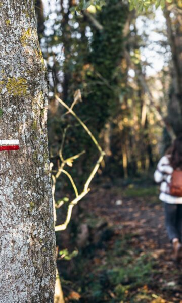 Une jeune fille suit le sentier boisé du GR34 le long des bords de Rance à Pleurtuit. Le chemin, entouré d'arbres nus et de sous-bois d'hiver, serpente à travers la nature paisible. La lumière douce filtre à travers les branches, créant une ambiance calme et contemplative.