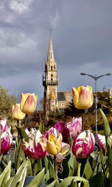 Eglise De Lancieux au milieu des tulipes. Un paysage bucolique à découvrir à pied ou à vélo.