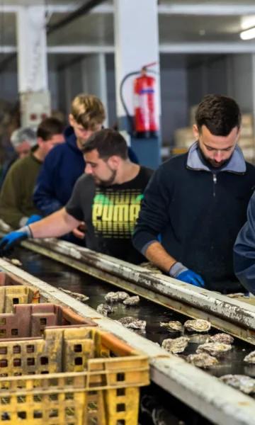 La Ferme marine de Cancale. En baie du Mont-Saint-Michel, découvrez le métier d'ostréiculteur.