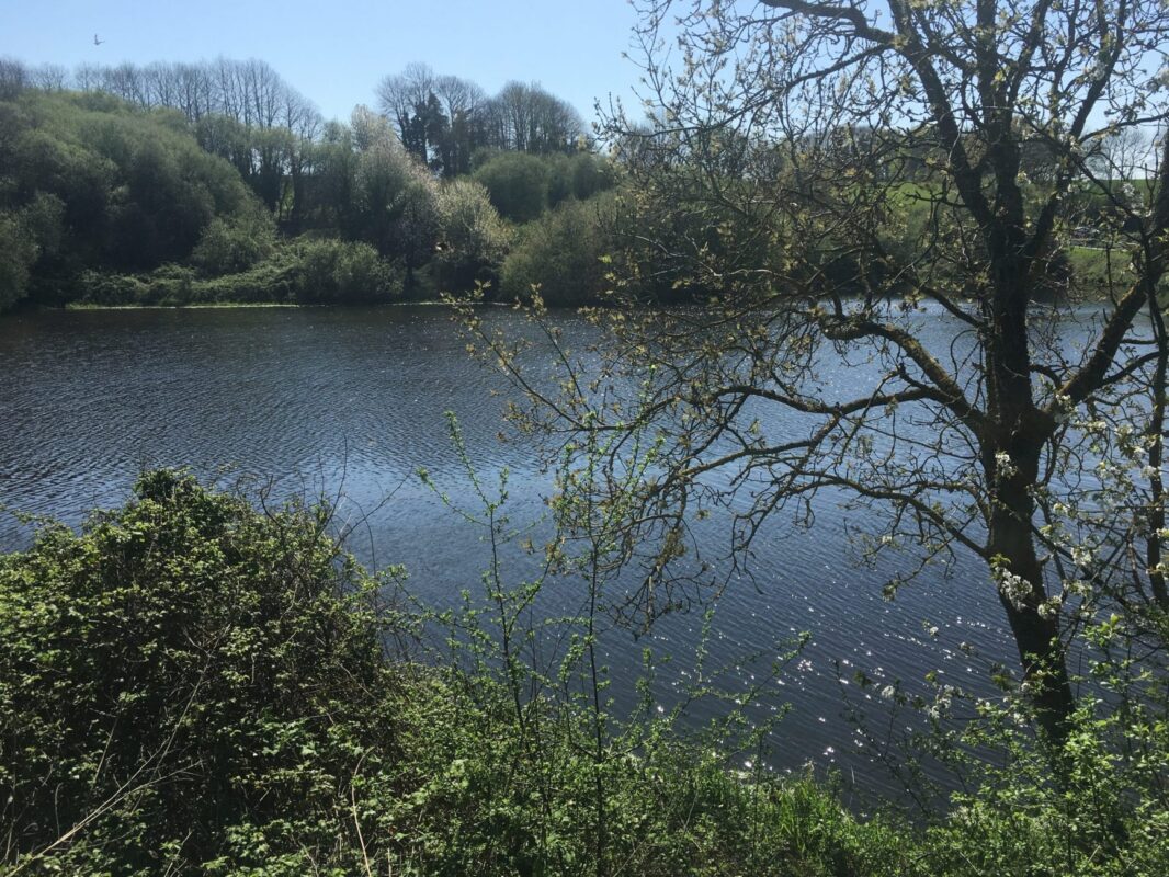 Les Bords Du Frémur à Tréméreuc. Ce fleuve côtier se jette dans la Manche entre Saint-Briac-sur-Mer et Lancieux.