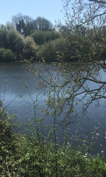 Les Bords Du Frémur à Tréméreuc. Ce fleuve côtier se jette dans la Manche entre Saint-Briac-sur-Mer et Lancieux.