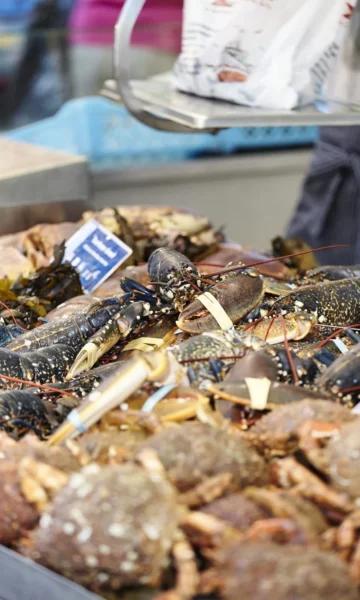 Fruits de mer en vente sur les Marchés De La Cote Demeraude.