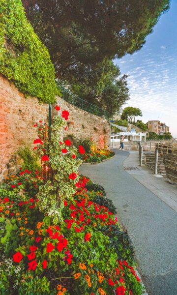 Promenade Du Clair De Lune Dinard Fleurs Thibault Poriel