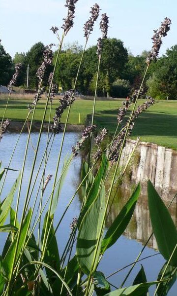 Golf de Tréméreuc, un lieu convivial au coeur de la campagne bretonne pour passer un moment sportif en toute détente.