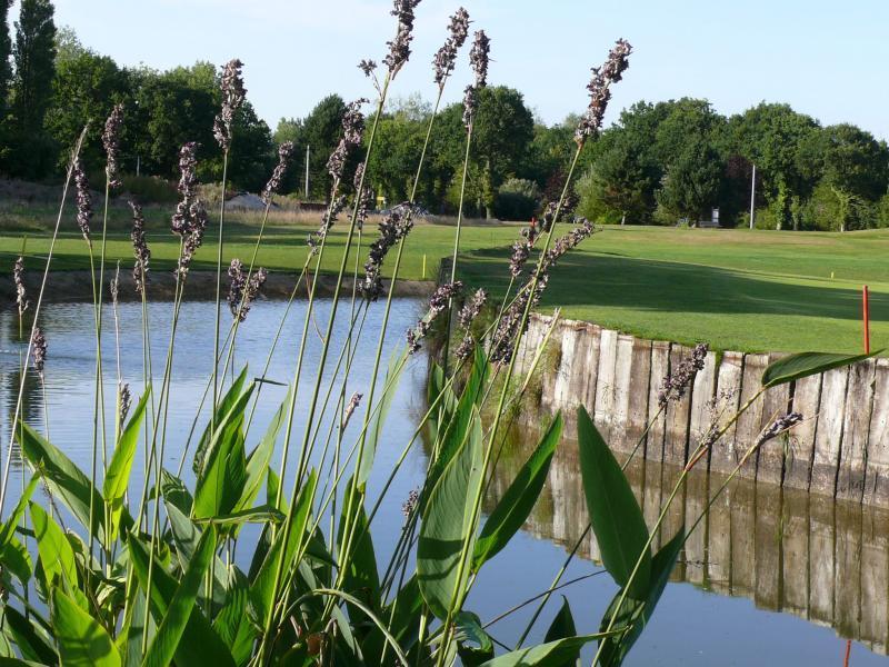 Golf de Tréméreuc, un lieu convivial au coeur de la campagne bretonne pour passer un moment sportif en toute détente.