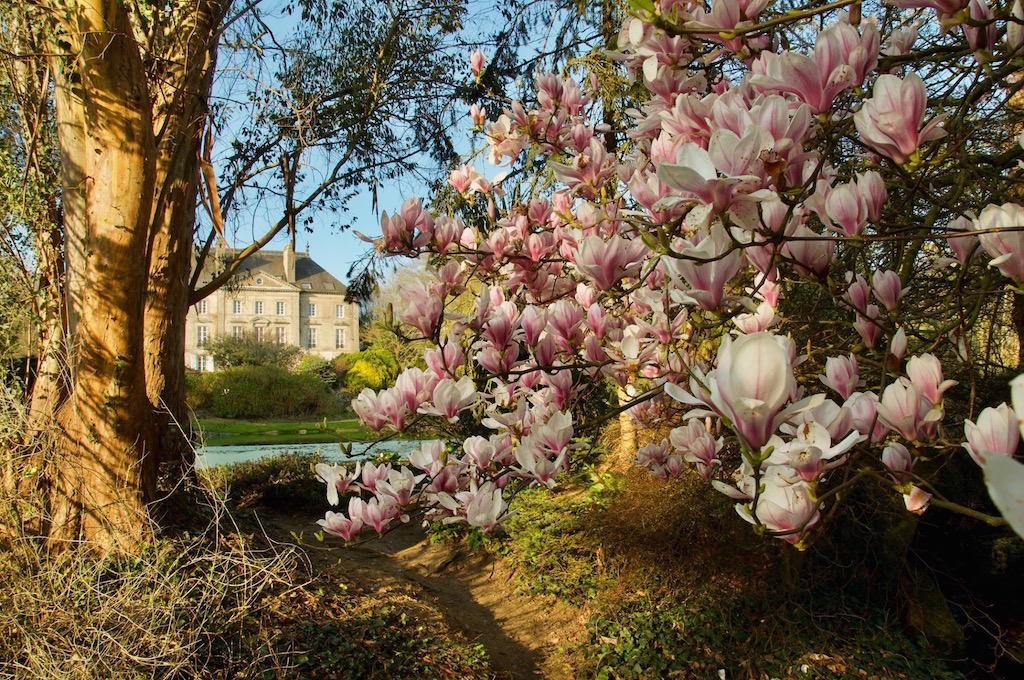 Parc Botanique De Haute Bretagne, un jardin à visiter en toute saison à environ une heure de Dinard. Parmi les plus baux jardins de Bretagne.