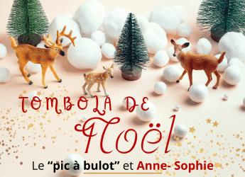 Tombola de Noël